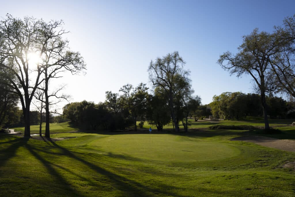 how mature trees help transform a golf course